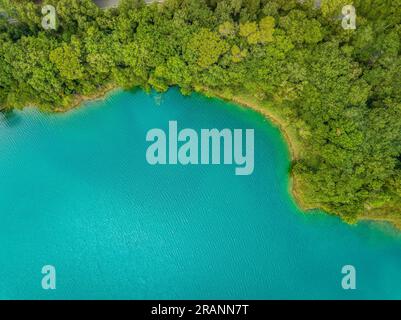 Blick aus der Vogelperspektive auf den See Estany de Banyoles, den Wald am Flussufer und Unterwasserdetails (Pla de l'Estany, Girona Catalonia) Stockfoto