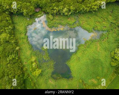 Vogelperspektive auf die Lagunen von Can Morgat und den Wald am Flussufer neben dem Banyoles-See (Pla de l'Estany, Girona Catalonia) Stockfoto