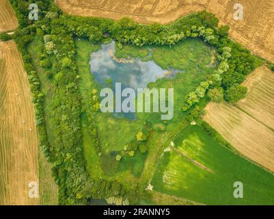 Vogelperspektive auf die Lagunen von Can Morgat und den Wald am Flussufer neben dem Banyoles-See (Pla de l'Estany, Girona Catalonia) Stockfoto