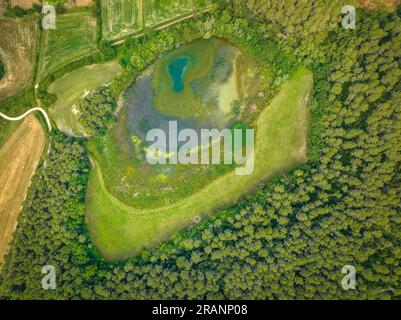 Vogelperspektive auf die Lagunen von Can Morgat und den Wald am Flussufer neben dem Banyoles-See (Pla de l'Estany, Girona Catalonia) Stockfoto