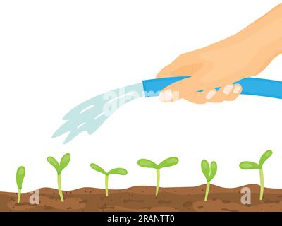 Handgehaltener Gartenschlauch und Bewässerung junger Pflanzen--Vektordarstellung Stock Vektor