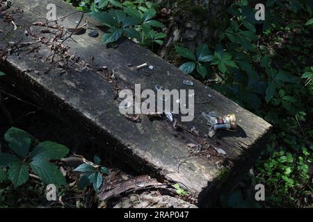 Zerbrochene Flasche im Park, Ruheplatz, Ökologie im Wald Stockfoto