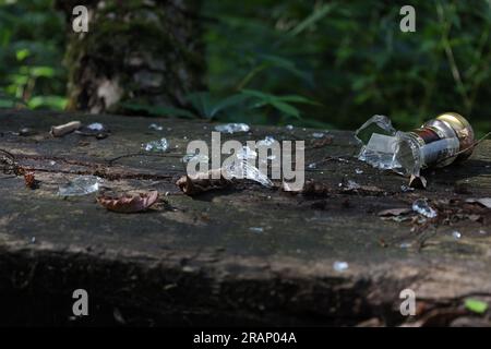 Zerbrochene Flasche im Park, Ruheplatz, Ökologie im Wald Stockfoto