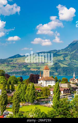 Blick auf Schloss Spiez und Thunersee, Spiez, Schweiz Stockfoto