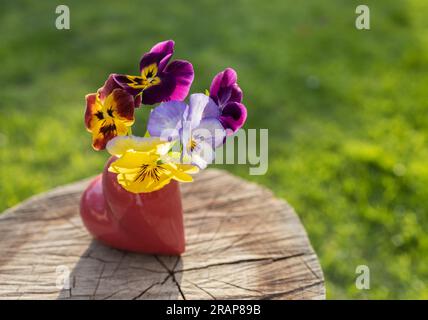 Eine Vase in Form eines Herzens mit bunten Schwänzen steht an einem sonnigen Tag auf einem Stumpf. Blumengeschenk. Das Konzept von Romantik, Liebe und zärtlichen Gefühlen. Mo Stockfoto
