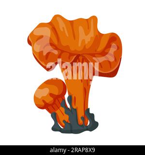 Pfifferlinge im Moos. Pfifferlinge im Wald. Vektordarstellung isoliert auf weißem Hintergrund. Stock Vektor