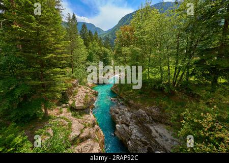 Wilder Canyon mit kristallklarem türkisfarbenem Wasser im Soca-Tal, Trigalv-Nationalpark bei Bovec, Slowenien Stockfoto