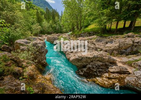 Wilder Canyon mit kristallklarem türkisfarbenem Wasser im Soca-Tal, Trigalv-Nationalpark bei Bovec, Slowenien Stockfoto