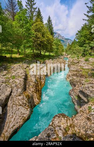Wilder Canyon mit kristallklarem türkisfarbenem Wasser im Soca-Tal, Trigalv-Nationalpark bei Bovec, Slowenien Stockfoto