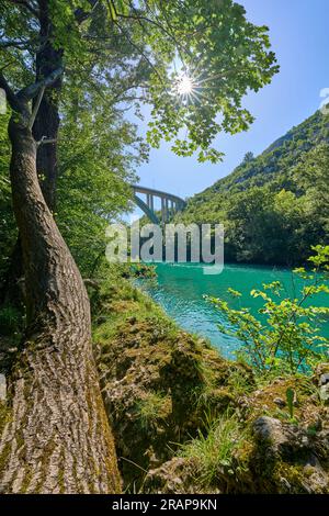 Wilder Canyon mit kristallklarem türkisfarbenem Wasser im Soca-Tal, Trigalv-Nationalpark bei Bovec, Slowenien Stockfoto