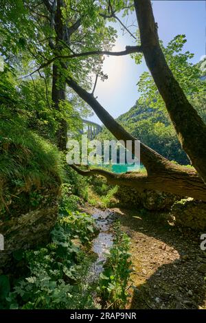 Wilder Canyon mit kristallklarem türkisfarbenem Wasser im Soca-Tal, Trigalv-Nationalpark bei Bovec, Slowenien Stockfoto