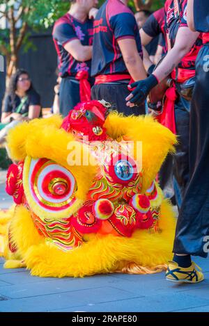 Ein chinesischer Drache liegt auf dem Boden, während sich Künstler während des mondchinesischen Neujahrs in Sydneys Darling Quarter in Australien vorbereiten Stockfoto