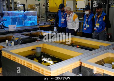 Futaba, Japan. 5. Juli 2023. Mitglieder der Internationalen Atomenergiebehörde beobachten Fischtanks auf einer Erfahrung mit aufbereitetem Abwasser, die am Mittwoch, den 5. Juli 2023 im beschädigten Kernkraftwerk Fukushima in Okuma im Nordosten Japans errichtet wurde. Rafael Mariano Grossi, Generaldirektor, besuchte am Mittwoch das Kraftwerk. (Credit Image: © POOL via ZUMA Press Wire) NUR REDAKTIONELLE VERWENDUNG! Nicht für den kommerziellen GEBRAUCH! Stockfoto