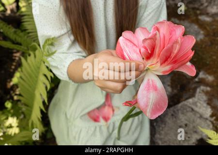 Ein Mädchen mit Zöpfen in einem grünen Kleid hält eine riesige Tulpe in den Händen und reißt die Blütenblätter ab Stockfoto