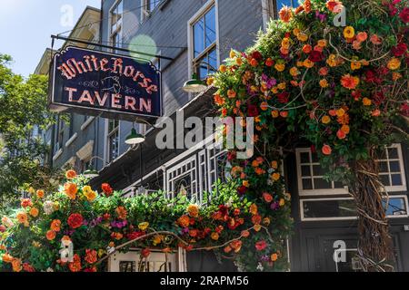 Signboard of White Horse Tavern bar, gathering place of artists opened in 1880, in Hudson Street, Greenwich Village, Manhattan, NYC Stockfoto