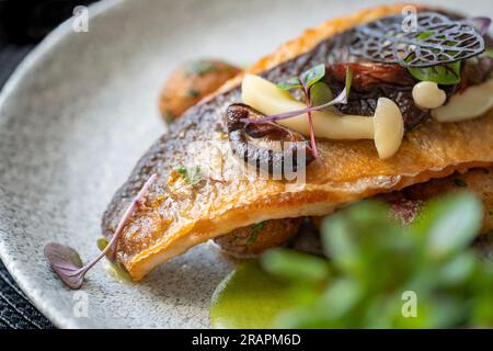 Gebratenes Branzino-Fischfilet mit marinierten Pilzen, Spargelsauce und Butterkartoffeln. Selektiver Fokus. Stockfoto