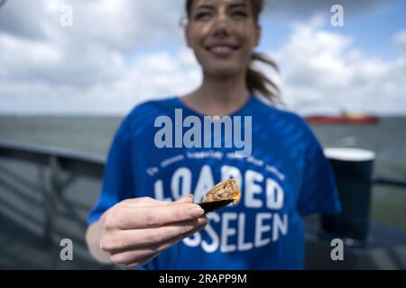 YERSEKE - Launch der geladenen Muschel, eine Muschel gefüllt mit gewürztem Reis. Die Muschelsaison hat offiziell mit der Sammlung der ersten Muscheln in Yerseke in Zeeland begonnen. ANP JEROEN JUMELET niederlande raus - belgien raus Stockfoto