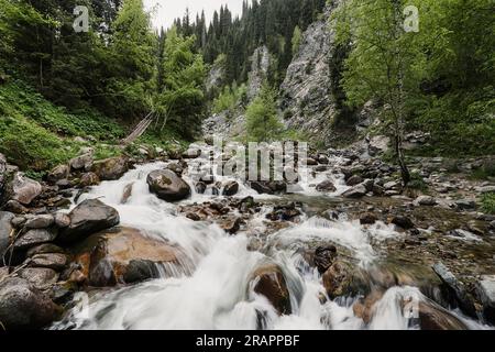 Blick auf den Bergfluss mit starker Strömung und Rinnen. Der Fluss ist inmitten des üppigen Grüns. Bergbach mit klarem Wasser Stockfoto