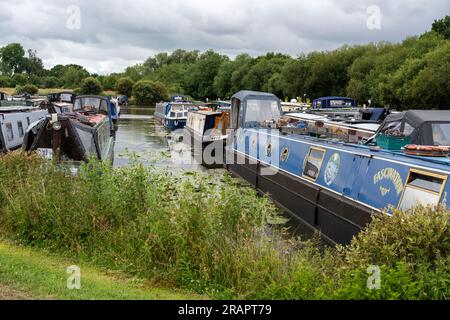 Narrowboat in der Oakwood Marina. Festgemachte Kanalboote auf dem Trent und Mersey Canal, Northwich, Cheshire, Großbritannien. Stockfoto