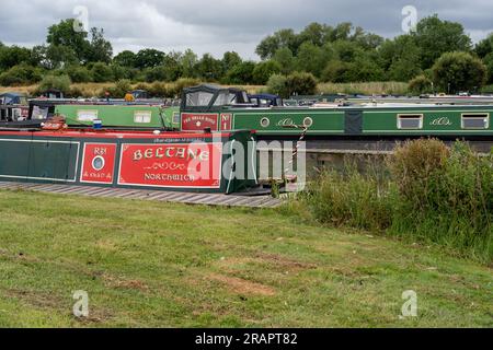 Narrowboat in der Oakwood Marina. Festgemachte Kanalboote auf dem Trent und Mersey Canal, Northwich, Cheshire, Großbritannien. Stockfoto