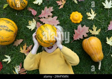 An einem Herbsttag liegen große und kleine Kürbisse, Herbsteiche und Ahornblätter auf dem Gras, ein Junge liegt in der Mitte und hält einen kleinen, hellgelben Pum Stockfoto