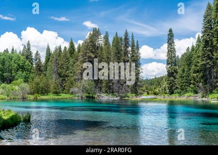 Das malerische blaue Wasser des Kimball Lake ist umgeben von hohen Tannen- und Kiefernwäldern. Stockfoto