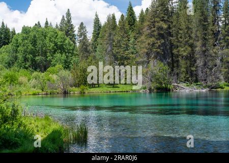 Wunderschöner See aus blauem, kristallklarem Wasser, umgeben von Wäldern im Kimball State Park in Oregon. Stockfoto