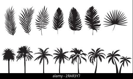 Palmenkollektion. Isolierte Palmenblätter. Vektorgrafiken von Bäumen. Tropische und exotische Pflanzen. Natürliche und Cartoon-Formen. Stock Vektor