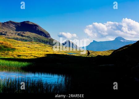 Great East, Grande Est, Parco Naturale Veglia-Devero, Val d'Ossola, Piedmont, Italien Stockfoto