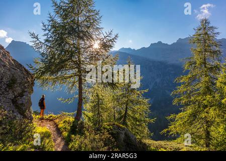 Great East, Grande Est, Parco Naturale Veglia-Devero, Val d'Ossola, Piedmont, Italien Stockfoto