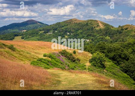 Worcestershire Beacon aus den unteren Stadtmauern des British Camp in den Malverns, Herefordshire/Worcestershire Stockfoto