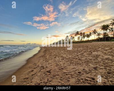 Blick auf den Strand von Imbassai, Bahia, Brasilien. Wunderschöner Strand im Nordosten mit einem Fluss und Palmen. Stockfoto