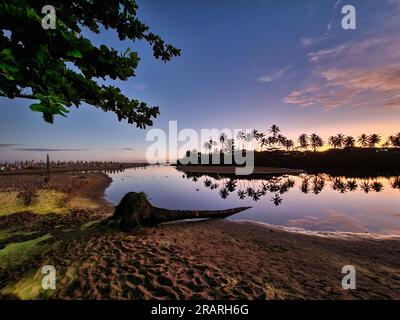 Wunderschöner Strand von Imbassai mit Palmen bei Sonnenuntergang, Bundesstaat Bahia in Brasilien. Stockfoto