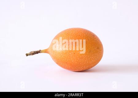 Kolumbianische Früchte, granadilla oder Passiflora ligularis Stockfoto