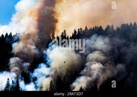 Ein Hubschrauber unterstützt Sie aus der Luft mit Wassertropfen am Rum Creek Fire bei Galice, Oregon. Foto von Morgan Rubanow, BLM Stockfoto