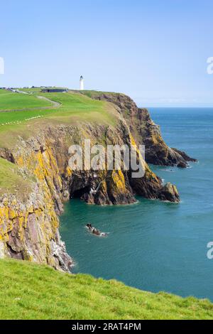 Mull of Galloway Coast und Mull of Galloway Lighthouse auf den Nashörnern der Halbinsel Galloway Galloway Coast Dumfries und Galloway Scotland UK GB Europe Stockfoto