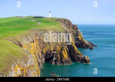 Mull of Galloway Coast und Mull of Galloway Lighthouse auf den Nashörnern der Halbinsel Galloway Galloway Coast Dumfries und Galloway Scotland UK GB Europe Stockfoto