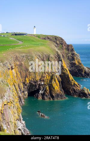 Mull of Galloway Coast und Mull of Galloway Lighthouse auf den Nashörnern der Halbinsel Galloway Galloway Coast Dumfries und Galloway Scotland UK GB Europe Stockfoto