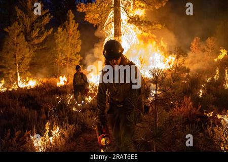 Das Ruby-Mountain-Team führt während des Dixie-Feuers im Lassen National Forest Burnout-Operationen durch. Foto von Joe Bradshaw, BLM Stockfoto