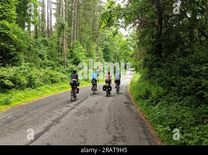 Vier Radfahrer fahren auf einer leeren, ruhigen Landstraße (Schotterfahrt, Abenteuerradrennen) Stockfoto