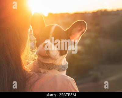 Der süße Welpe liegt auf der Schulter einer Frau Stockfoto