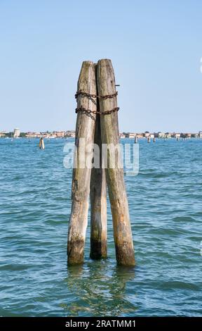 Vertikale dicke Holzpfähle namens bricole (Venedig bricola) am Canale Grande in Venedig Stockfoto