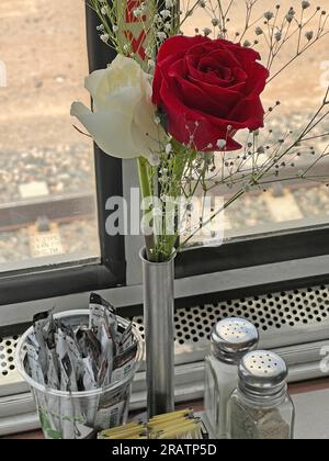 Rosen auf dem Tisch im AMTRAK-Speisewagen Stockfoto