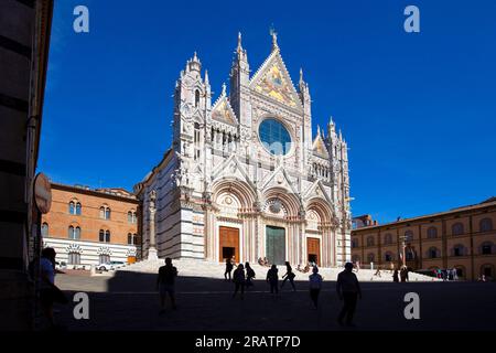 Siena, Toskana, Italien, Die Kuppel Stockfoto