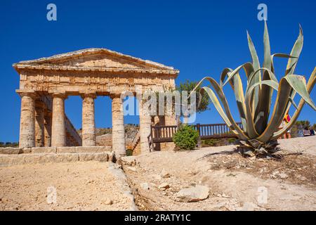 Archäologische Stätte Segesta, Calatafimi, Trapani, Sizilien, Italien Stockfoto