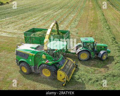 Kieran Crowley Agri-Auftragnehmer, der eine John Deere 9700i-Silage bei Lislevane, Co., verwendet Kork Stockfoto