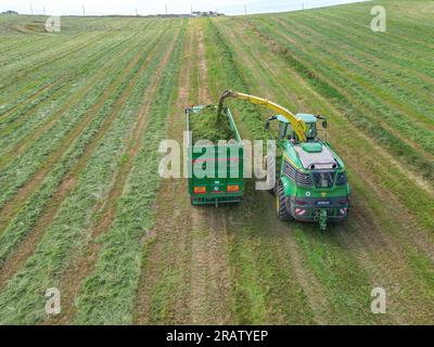 Kieran Crowley Agri-Auftragnehmer, der eine John Deere 9700i-Silage bei Lislevane, Co., verwendet Kork Stockfoto