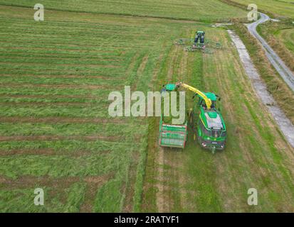 Kieran Crowley Agri-Auftragnehmer, der eine John Deere 9700i-Silage bei Lislevane, Co., verwendet Kork Stockfoto