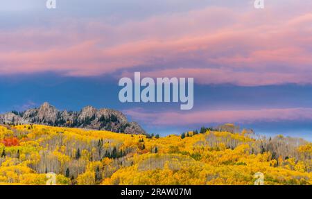 Herbstfarben in Colorado entlang der Kebler Pass Road in den West Elk Mountains. Stockfoto