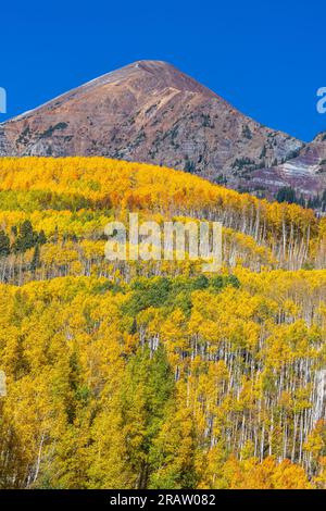 Herbstfarben in Colorado entlang der Kebler Pass Road in den West Elk Mountains. Stockfoto